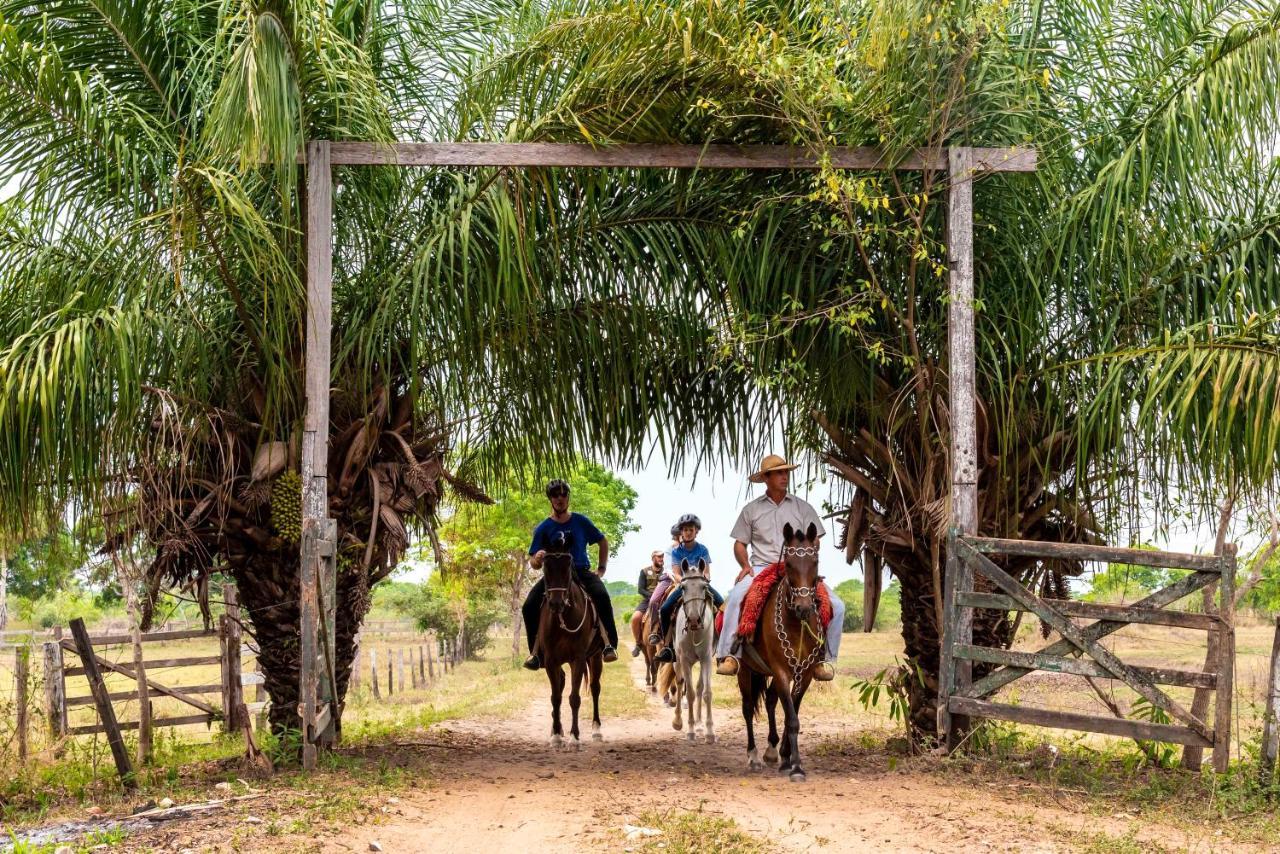 Pousada Fazenda Xaraes Todos os Santos Kültér fotó