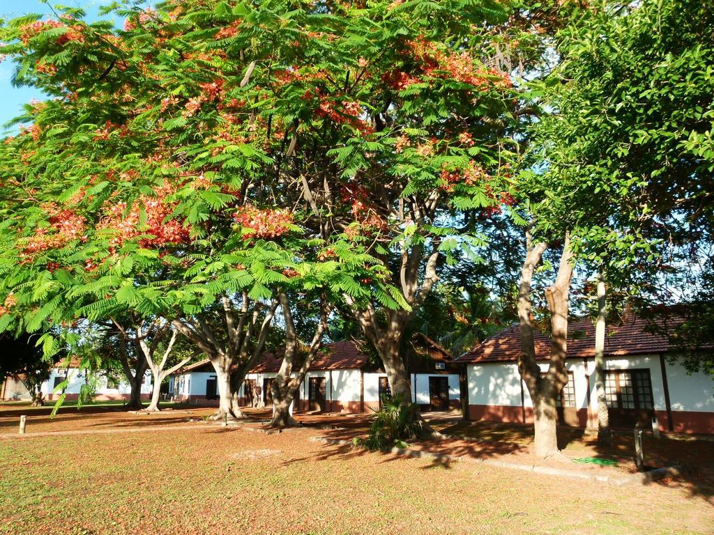 Pousada Fazenda Xaraes Todos os Santos Kültér fotó