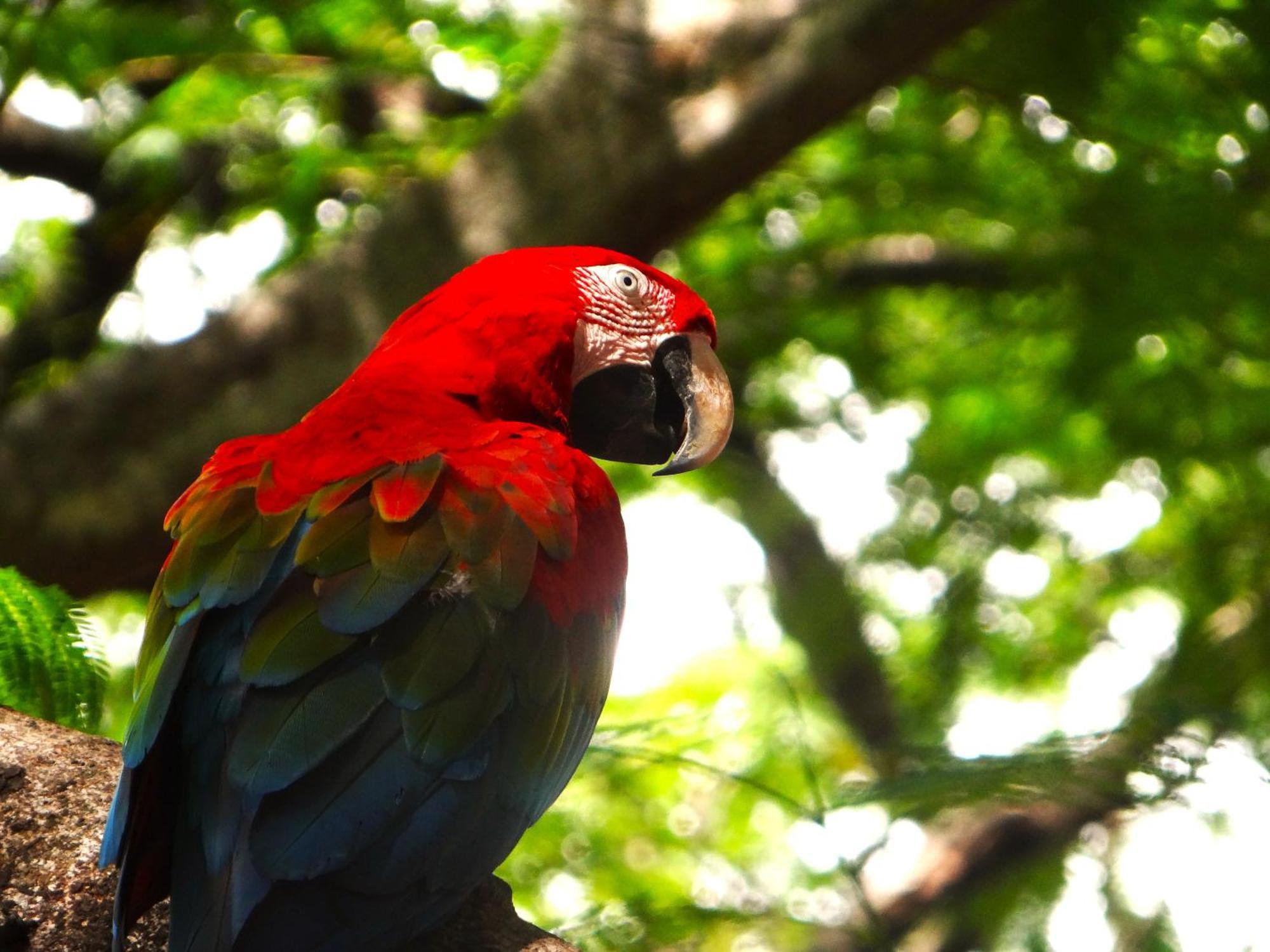 Pousada Fazenda Xaraes Todos os Santos Kültér fotó
